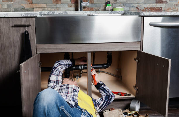 Best Plumbing Inspection Services  in Ferndale, PA